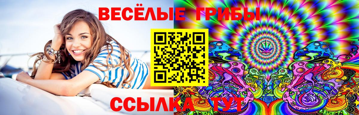 Псилоцибиновые грибы мухоморы  Вход с VPN  Мытищи  Псилоцибиновые грибы мухоморы 